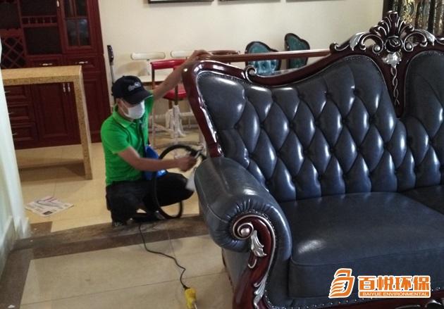 佛山去除甲醛的綠植有哪些?百悅環保裝修去除甲醛 佛山去除甲醛的綠植有哪些?百悅環保裝修去除甲醛